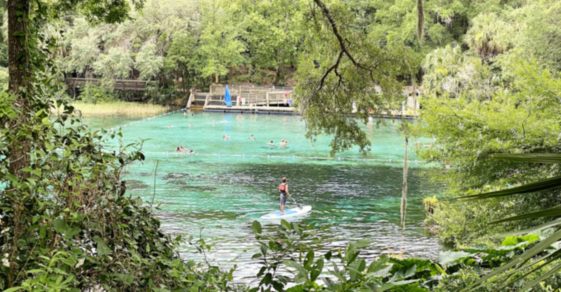 Swimmers and a paddleboarder in a clear turquoise spring ringed by green trees